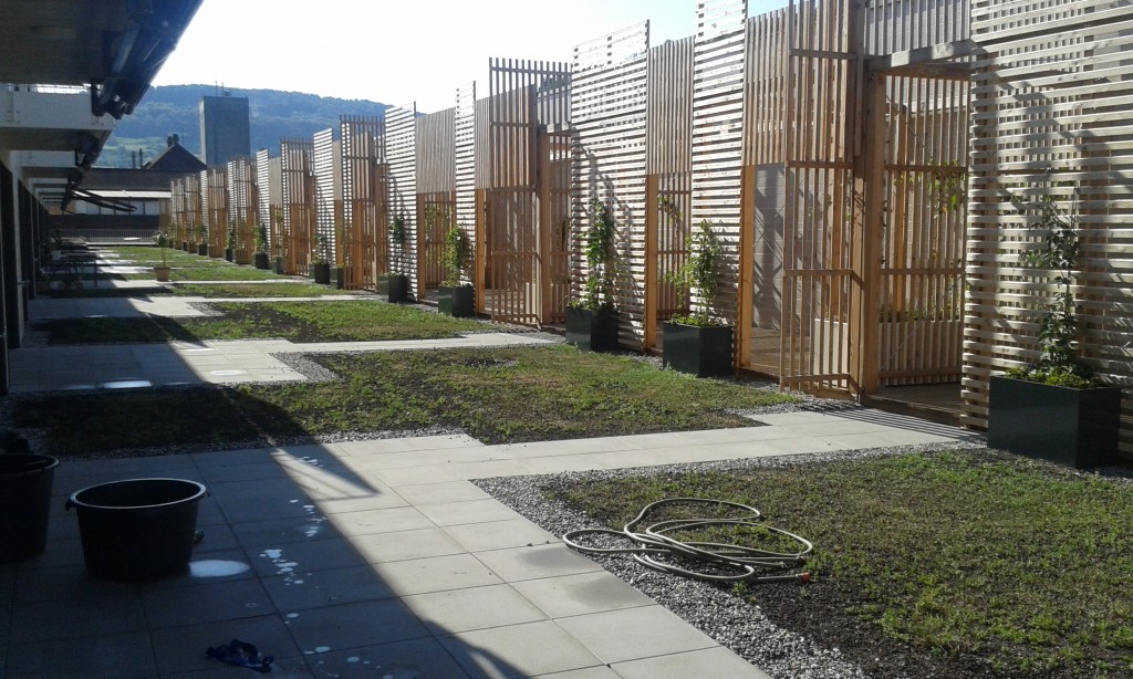 Terrassenanlage Schweiz